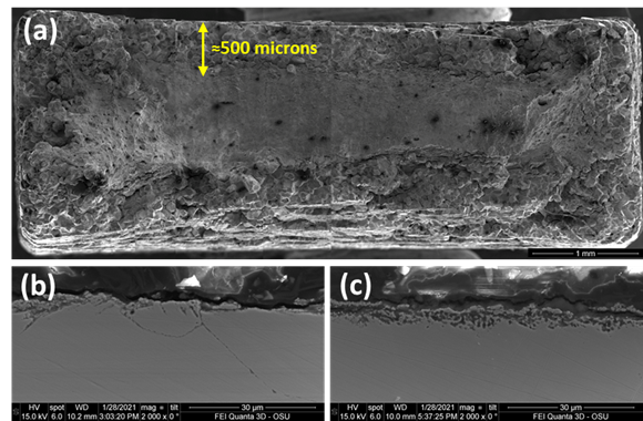 SEM cross-sections of fractured 316H SS slow strain rate sample after exposure to FLiNaK