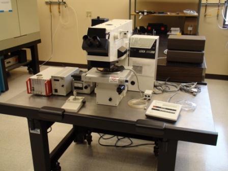 Picture of the Leica microscope