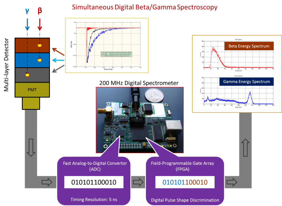 digital gamma-beta coincidence pulse processing technique