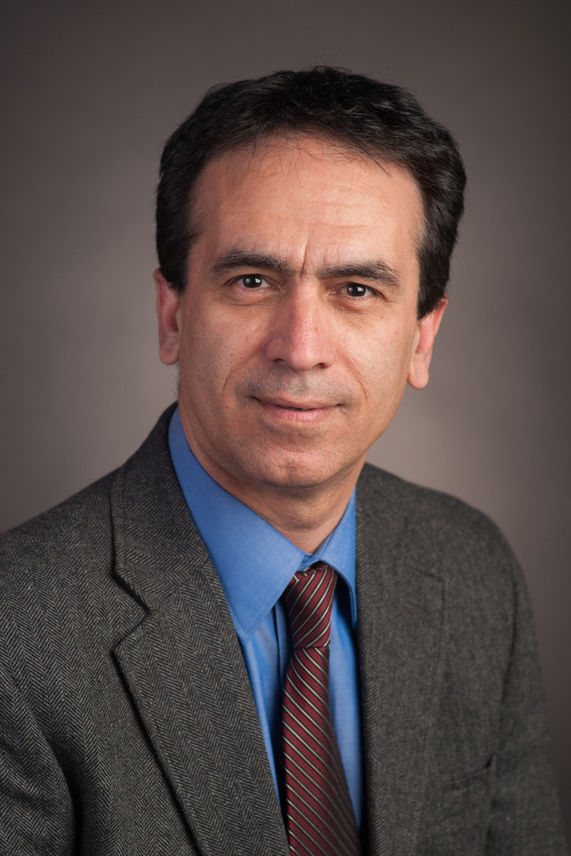 Dr. Abi Farsoni leads the Radiation Detection and Dosimetry Group